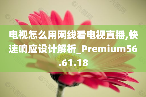 电视怎么用网线看电视直播,快速响应设计解析_Premium56.61.18