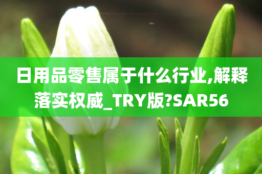 日用品零售属于什么行业,解释落实权威_TRY版?SAR56