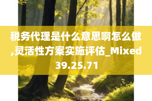 税务代理是什么意思啊怎么做,灵活性方案实施评估_Mixed39.25.71