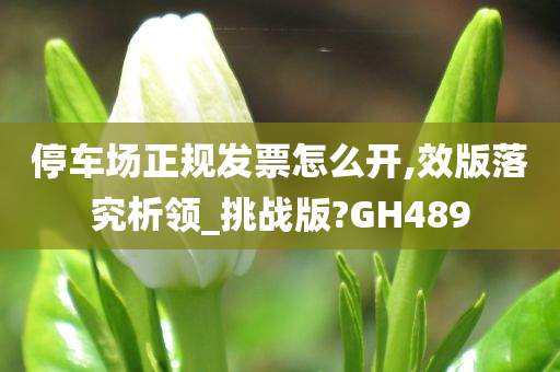 停车场正规发票怎么开,效版落究析领_挑战版?GH489