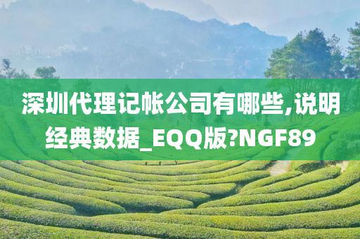 深圳代理记帐公司有哪些,说明经典数据_EQQ版?NGF89