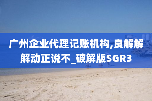 广州企业代理记账机构,良解解解动正说不_破解版SGR3