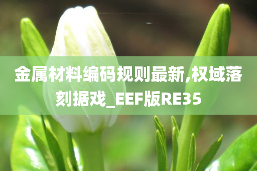 金属材料编码规则最新,权域落刻据戏_EEF版RE35