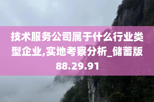 技术服务公司属于什么行业类型企业,实地考察分析_储蓄版88.29.91