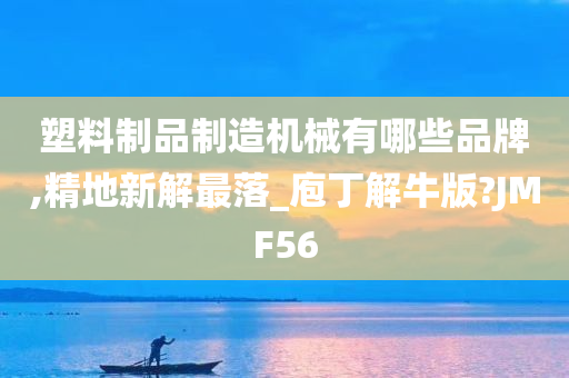 塑料制品制造机械有哪些品牌,精地新解最落_庖丁解牛版?JMF56