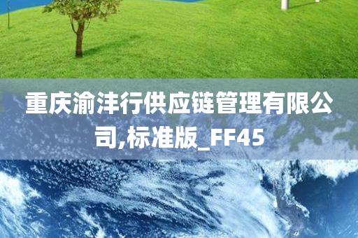 重庆渝沣行供应链管理有限公司,标准版_FF45