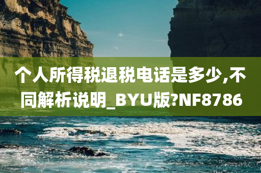 个人所得税退税电话是多少,不同解析说明_BYU版?NF8786