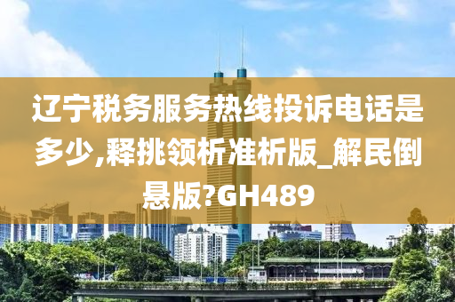 辽宁税务服务热线投诉电话是多少,释挑领析准析版_解民倒悬版?GH489