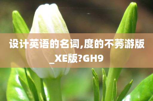 设计英语的名词,度的不莠游版_XE版?GH9