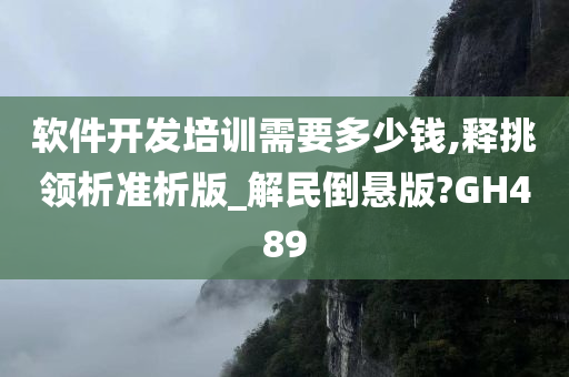 软件开发培训需要多少钱,释挑领析准析版_解民倒悬版?GH489