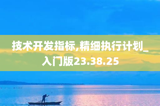 技术开发指标,精细执行计划_入门版23.38.25