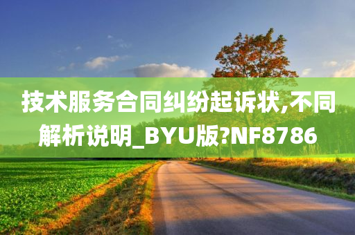 技术服务合同纠纷起诉状,不同解析说明_BYU版?NF8786