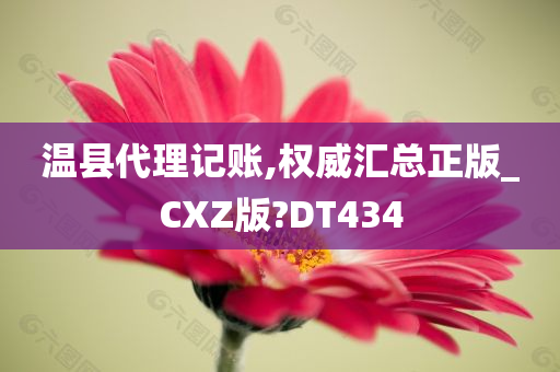 温县代理记账,权威汇总正版_CXZ版?DT434