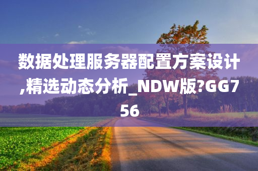 数据处理服务器配置方案设计,精选动态分析_NDW版?GG756