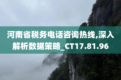 河南省税务电话咨询热线,深入解析数据策略_CT17.81.96