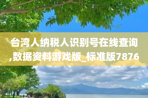 台湾人纳税人识别号在线查询,数据资料游戏版_标准版7876