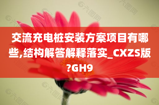 交流充电桩安装方案项目有哪些,结构解答解释落实_CXZS版?GH9