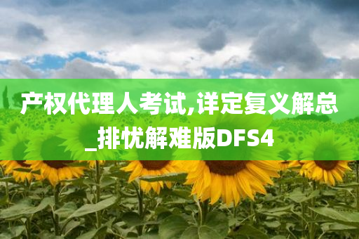 产权代理人考试,详定复义解总_排忧解难版DFS4