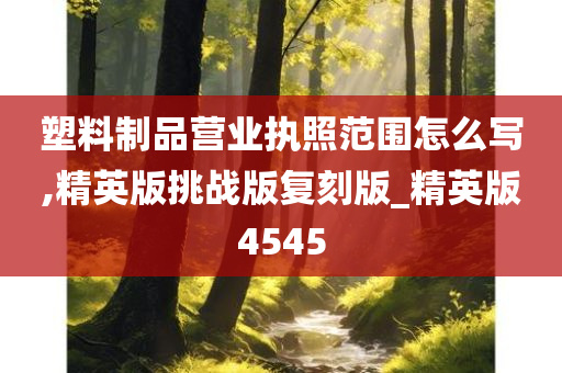 塑料制品营业执照范围怎么写,精英版挑战版复刻版_精英版4545