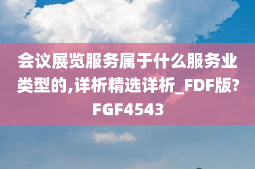 会议展览服务属于什么服务业类型的,详析精选详析_FDF版?FGF4543