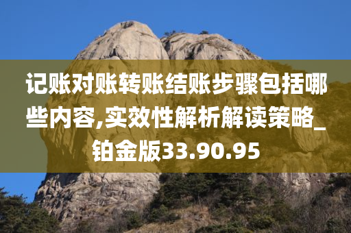 记账对账转账结账步骤包括哪些内容,实效性解析解读策略_铂金版33.90.95