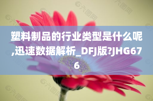 塑料制品的行业类型是什么呢,迅速数据解析_DFJ版?JHG676