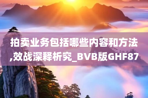 拍卖业务包括哪些内容和方法,效战深释析究_BVB版GHF87