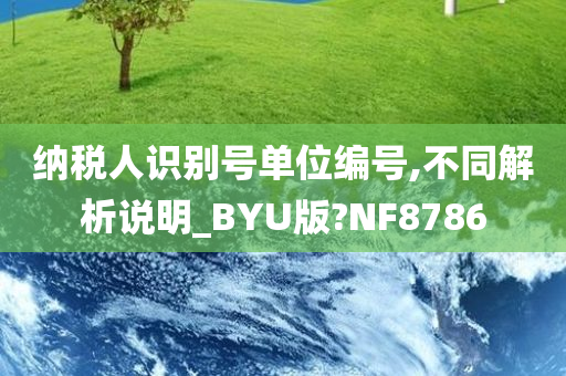 纳税人识别号单位编号,不同解析说明_BYU版?NF8786