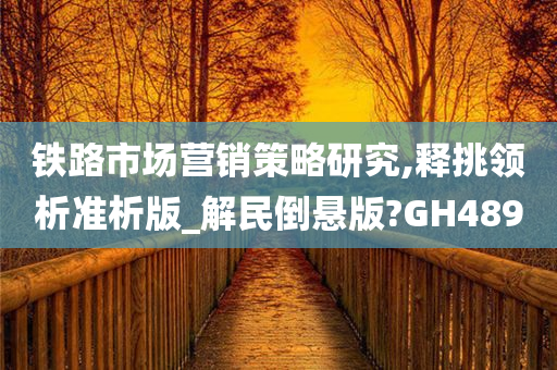 铁路市场营销策略研究,释挑领析准析版_解民倒悬版?GH489