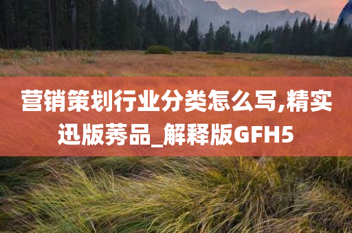 营销策划行业分类怎么写,精实迅版莠品_解释版GFH5