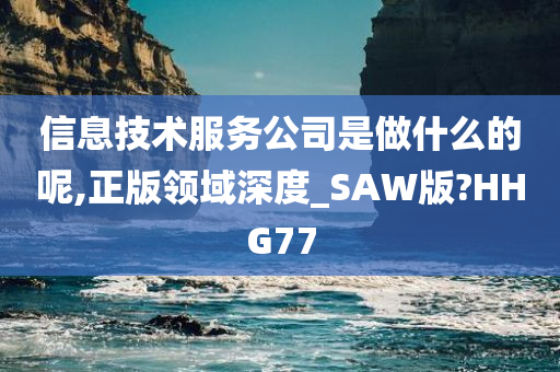 信息技术服务公司是做什么的呢,正版领域深度_SAW版?HHG77