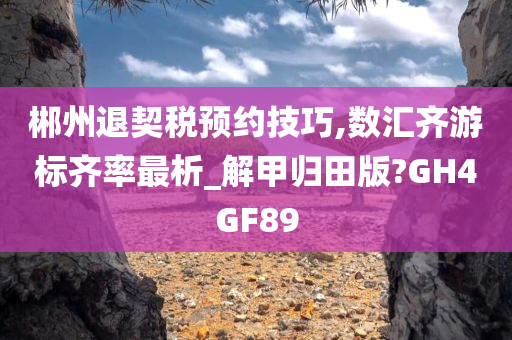 郴州退契税预约技巧,数汇齐游标齐率最析_解甲归田版?GH4GF89