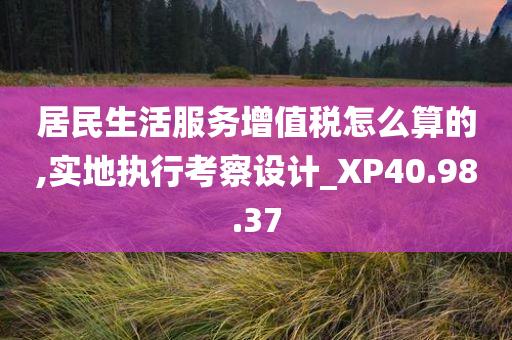 居民生活服务增值税怎么算的,实地执行考察设计_XP40.98.37