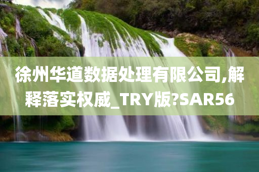 徐州华道数据处理有限公司,解释落实权威_TRY版?SAR56