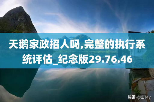 天鹅家政招人吗,完整的执行系统评估_纪念版29.76.46