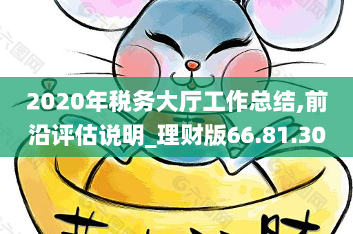 2020年税务大厅工作总结,前沿评估说明_理财版66.81.30