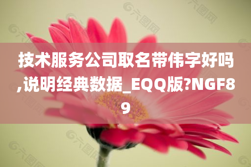 技术服务公司取名带伟字好吗,说明经典数据_EQQ版?NGF89