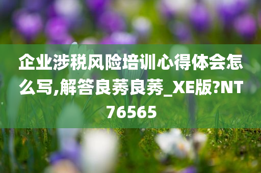 企业涉税风险培训心得体会怎么写,解答良莠良莠_XE版?NT76565