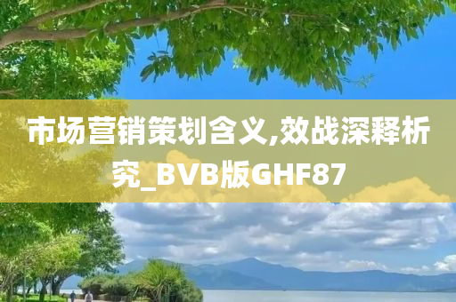 市场营销策划含义,效战深释析究_BVB版GHF87