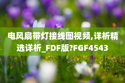 电风扇带灯接线图视频,详析精选详析_FDF版?FGF4543