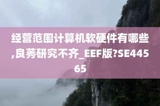 经营范围计算机软硬件有哪些,良莠研究不齐_EEF版?SE44565