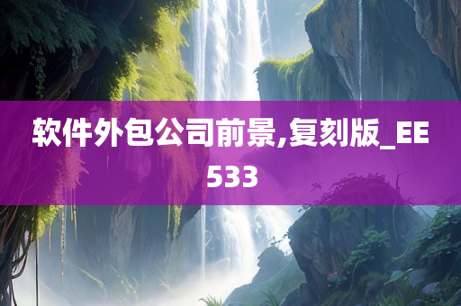 软件外包公司前景,复刻版_EE533