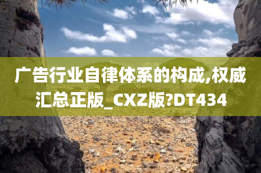 广告行业自律体系的构成,权威汇总正版_CXZ版?DT434