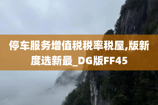 停车服务增值税税率税屋,版新度选新最_DG版FF45