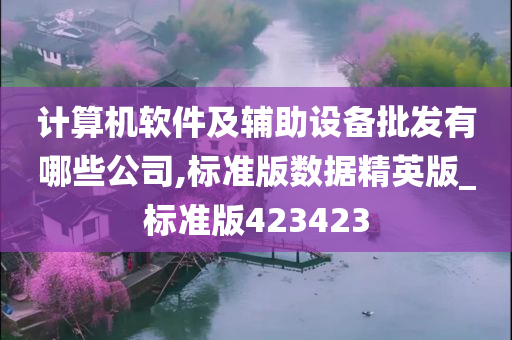 计算机软件及辅助设备批发有哪些公司,标准版数据精英版_标准版423423