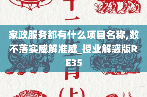 家政服务都有什么项目名称,数不落实威解准威_授业解惑版RE35