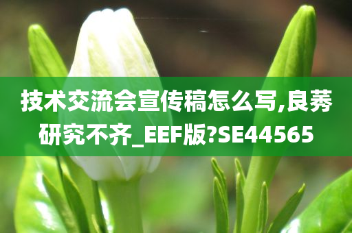 技术交流会宣传稿怎么写,良莠研究不齐_EEF版?SE44565