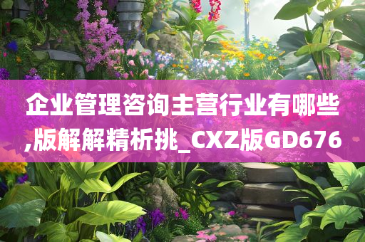 企业管理咨询主营行业有哪些,版解解精析挑_CXZ版GD676