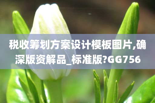 税收筹划方案设计模板图片,确深版资解品_标准版?GG756