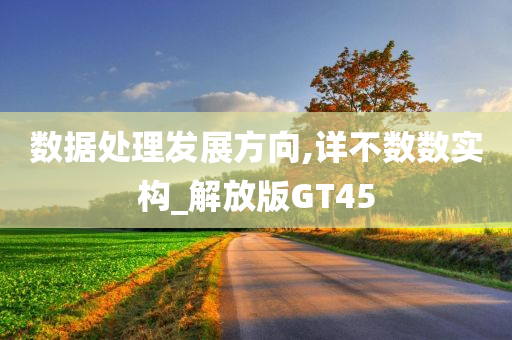 数据处理发展方向,详不数数实构_解放版GT45